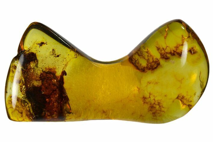 Polished Chiapas Amber ( g) - Mexico #114972